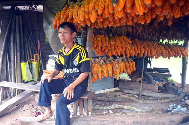 Kỳ bí khu rừng thiêng 300ha lâm tặc không dám chặt 1 cây