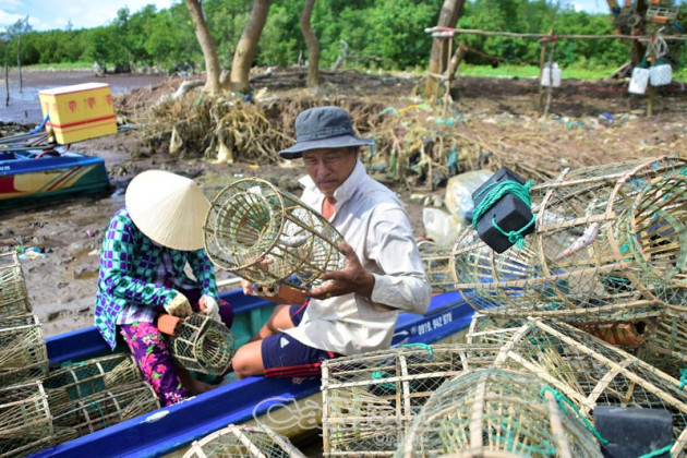 ky thu san loai cua da ban dat tien o hon da bac tinh ca mau hinh anh 2