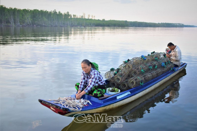 ky thu san loai cua da ban dat tien o hon da bac tinh ca mau hinh anh 3