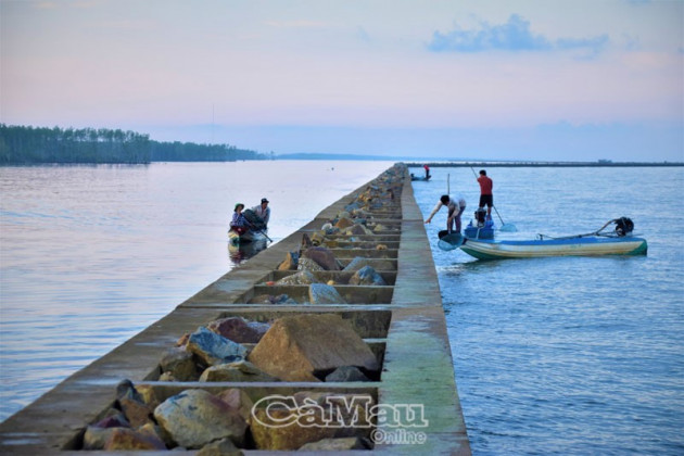 ky thu san loai cua da ban dat tien o hon da bac tinh ca mau hinh anh 4