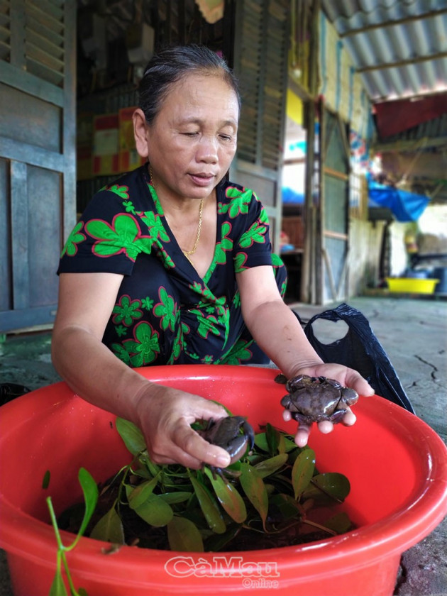 ky thu san loai cua da ban dat tien o hon da bac tinh ca mau hinh anh 6