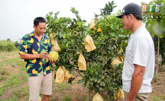 Làm ruộng vất vả, 5 lần 7 lượt thất bại sao anh này vẫn đam mê?