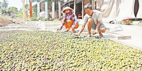 Làm giàu khác người: Cả làng đổ bỏ, nhặt rác này về phơi kiếm bộn tiền