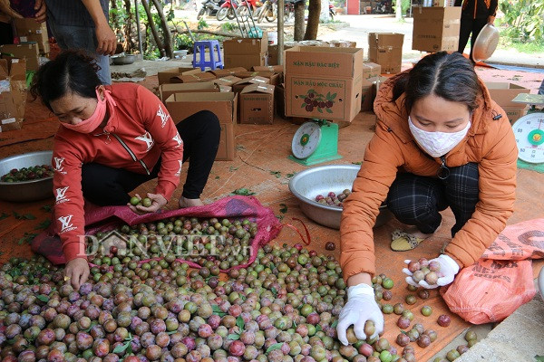 lo mua da, dan moc chau hai man ban som, gia re cung phai can hinh anh 5