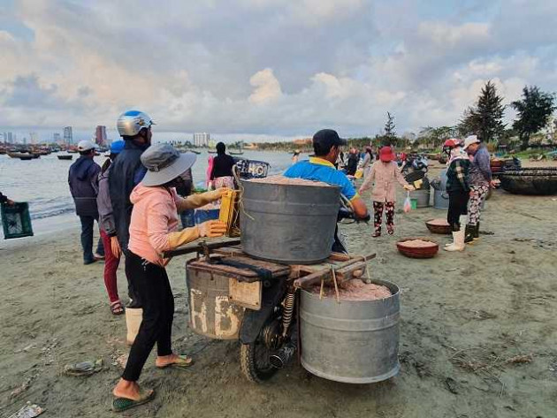 "loc bien" do au bat ngo do ve ban dao son tra, ngu dan trung dam hinh anh 10