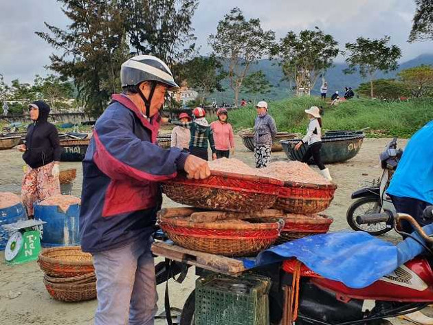 "loc bien" do au bat ngo do ve ban dao son tra, ngu dan trung dam hinh anh 11