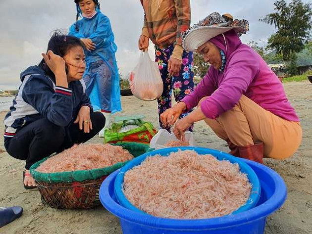 "loc bien" do au bat ngo do ve ban dao son tra, ngu dan trung dam hinh anh 4