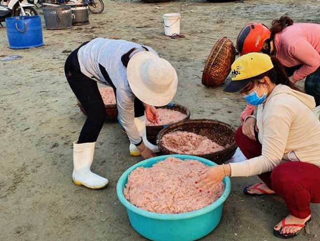 "loc bien" do au bat ngo do ve ban dao son tra, ngu dan trung dam hinh anh 9