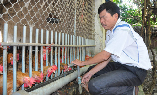 "lon tuoi, ga heo" (bai 3): xem lai cach tinh so lieu dan gia cam hinh anh 2