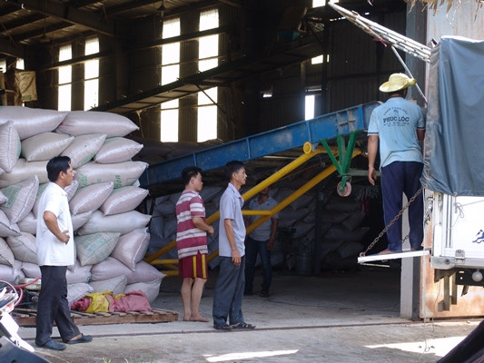 Long An: Một doanh nghiệp đã xuất 6 container gạo nếp đi Indonesia