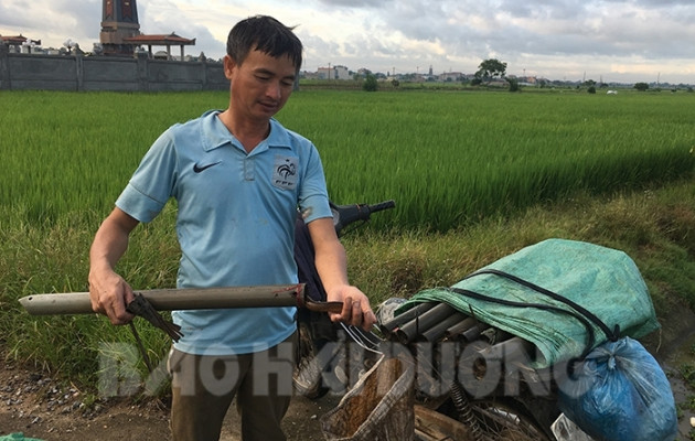 luon dong bay gio sao cu phai ra canh dong hoang moi bat duoc? hinh anh 2