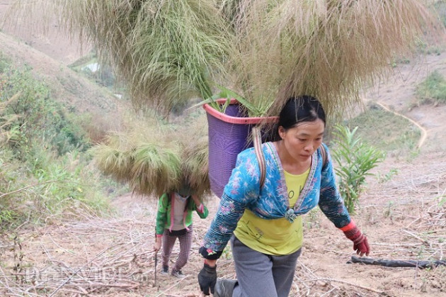 luon rung hai "loc troi”, tay rom mau bu lai mua duoc ca xe may hinh anh 10