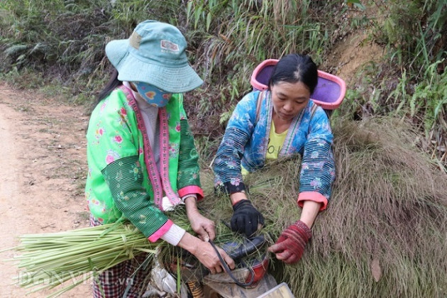 luon rung hai "loc troi”, tay rom mau bu lai mua duoc ca xe may hinh anh 11