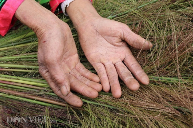 luon rung hai "loc troi”, tay rom mau bu lai mua duoc ca xe may hinh anh 12