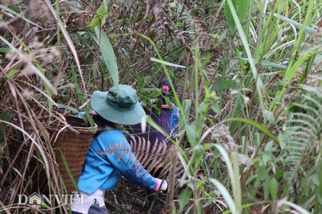 luon rung hai "loc troi”, tay rom mau bu lai mua duoc ca xe may hinh anh 2