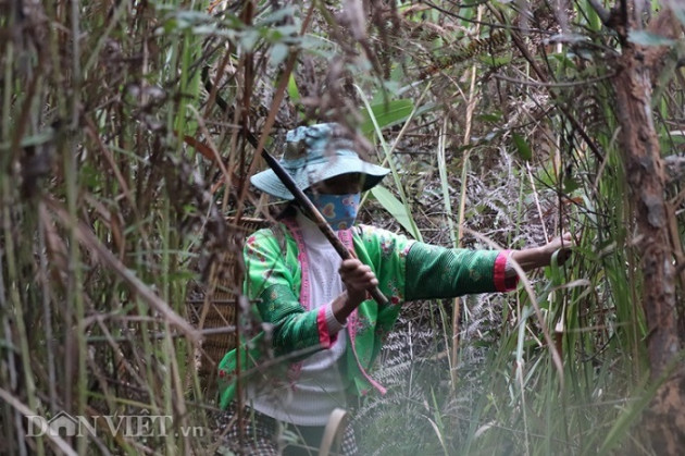 luon rung hai "loc troi”, tay rom mau bu lai mua duoc ca xe may hinh anh 3