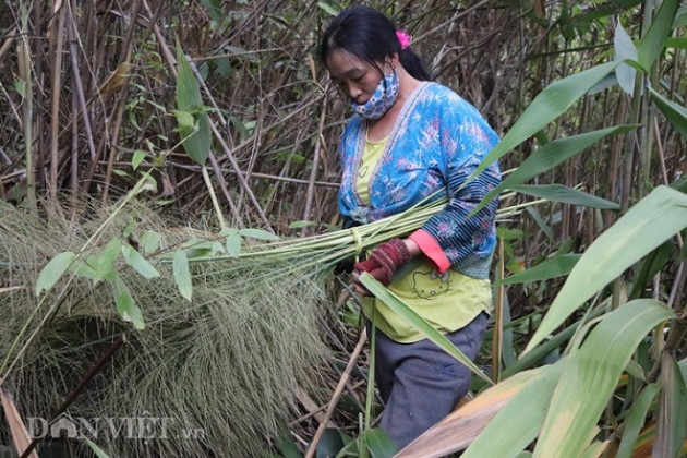 luon rung hai "loc troi”, tay rom mau bu lai mua duoc ca xe may hinh anh 6