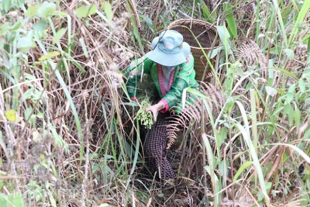 luon rung hai "loc troi”, tay rom mau bu lai mua duoc ca xe may hinh anh 9