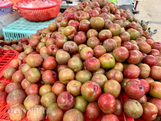 man hau dau mua "bay" vao mien nam, ban via he gia 200.000 dong/kg hinh anh 3