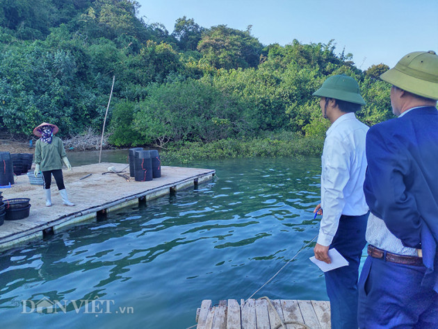 "mang nhen" day hau bua vay vinh bai tu long hinh anh 5