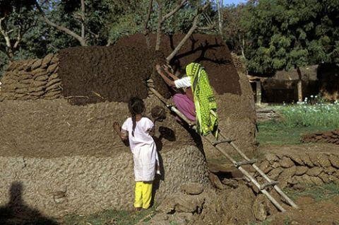 mat hang lam tu phan bo nhung tuong trung cho su giau co, nguoi nguoi tranh nhau mua hinh anh 6