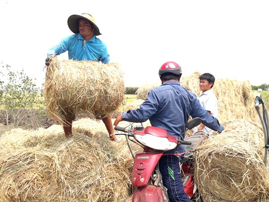 mien tay dau dau cung co vua rom, thuong lai than lo... bo dong! hinh anh 3