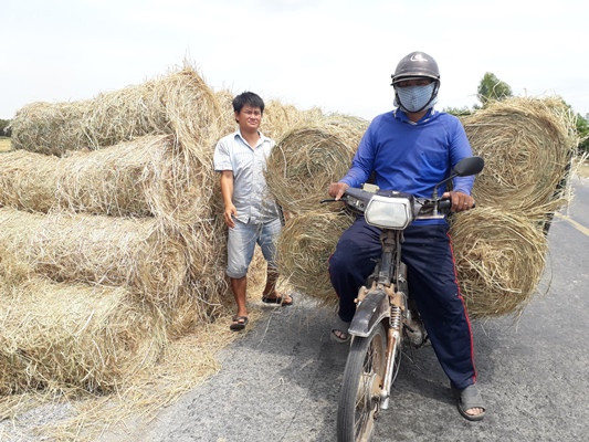 mien tay dau dau cung co vua rom, thuong lai than lo... bo dong! hinh anh 5