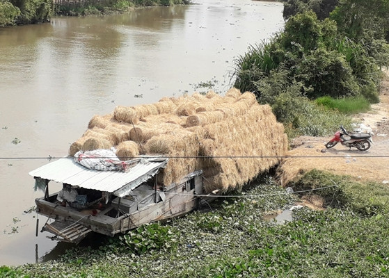 mien tay dau dau cung co vua rom, thuong lai than lo... bo dong! hinh anh 6