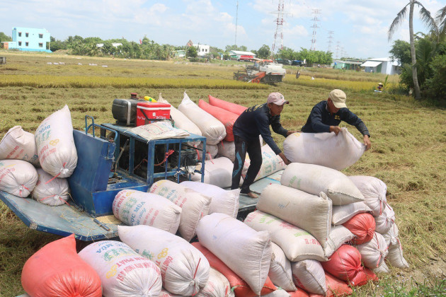 moi: thu tuong dong y cho xuat khau 400.000 tan gao trong thang 4 hinh anh 1