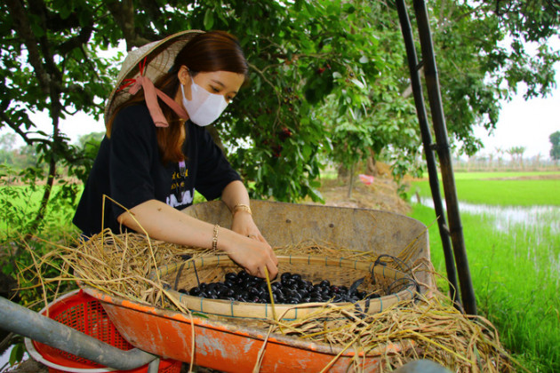 mua trai dai chin ro, nghe ten tua nuoc mieng, nang ngot mua chua hinh anh 8