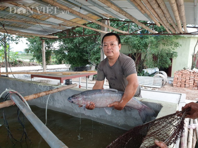 nam dinh: do no vi tom nhung lai giau len nho nuoi them ca "khung" hinh anh 1