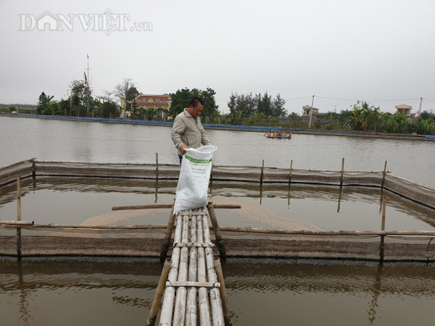 nam dinh: do no vi tom nhung lai giau len nho nuoi them ca "khung" hinh anh 2