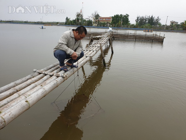 nam dinh: do no vi tom nhung lai giau len nho nuoi them ca "khung" hinh anh 3