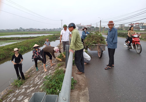 Nam Định: Hơn 2.000 tổ tự quản của nông dân làm đẹp đường thôn