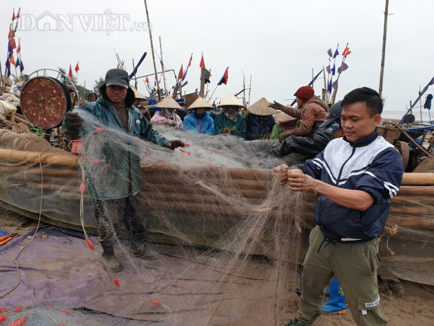 nam dinh: ra bien keo luoi trung dam tom "hung du" toan con to bu hinh anh 2