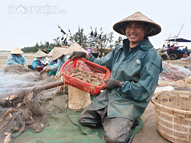 nam dinh: ra bien keo luoi trung dam tom "hung du" toan con to bu hinh anh 4