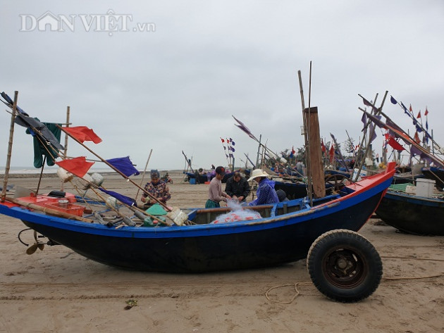 nam dinh: ra bien keo luoi trung dam tom "hung du" toan con to bu hinh anh 5