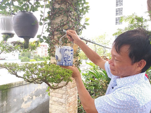 ngam dan bonsai “moc nguoc” cuc doc la cua lao gan xu quang hinh anh 14