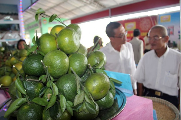 ngam nhung sieu trai cay tai festival vat tu nong nghiep vinh long hinh anh 3