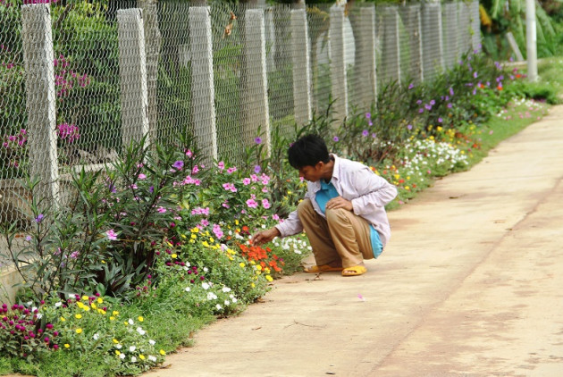 ngo ngang duong que "cua hiem", nha nao cung trong hoa hinh anh 8