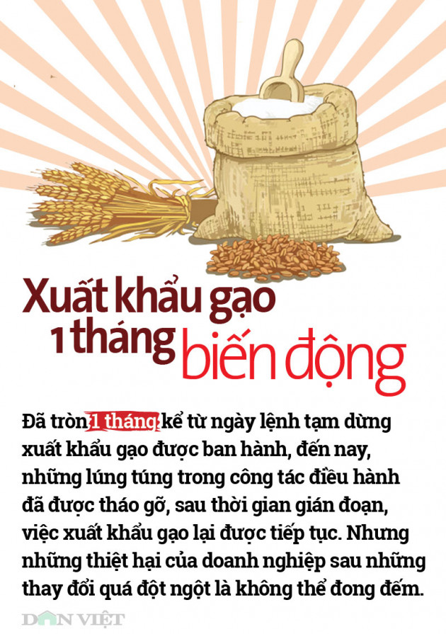 Infograffic: Nhìn lại 1 tháng lùm xùm điều hành xuất khẩu gạo