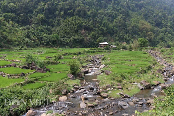 nhin nhu cuc bong xanh biec, hoa ra la mon dac san lay tu long suoi hinh anh 3