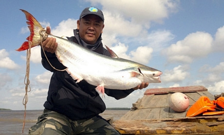 nhung ca bong lau khung nay di dau khien dan cu lao nay nho qua! hinh anh 1