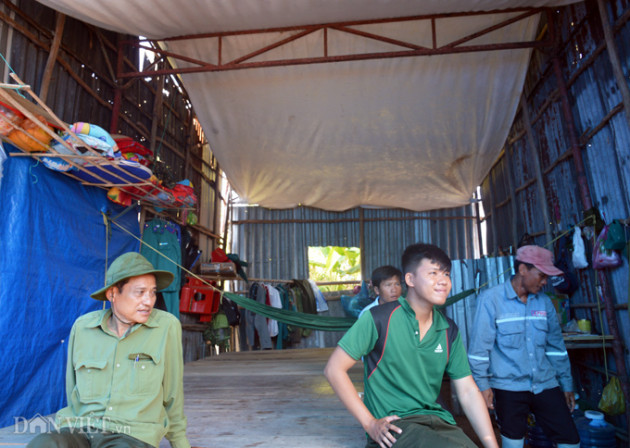 nhung nguoi ngay dem "canh lua" o vuon quoc gia u minh ha hinh anh 7