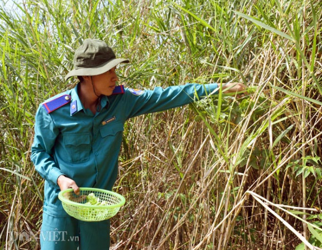 nhung nguoi ngay dem "canh lua" o vuon quoc gia u minh ha hinh anh 9