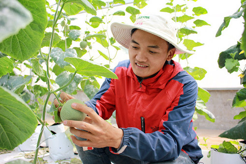 nhung nguoi tre “me” trong rau huu co o dak lak hinh anh 1