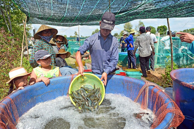 nhung vu tom ngan tan o ca mau: nguoi la ty phu, ke "om" cuc no hinh anh 2