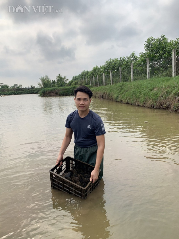 ninh binh: trai dep loi song nuoi trai ngoc khien thien ha me ran ran hinh anh 3