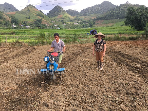 noi chat cho bo an, nhung o day trong bap cai ban van dat hang hinh anh 3