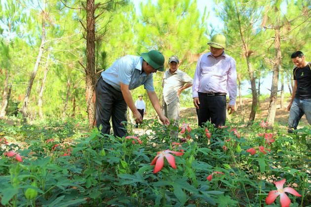 noi rung ru, trong thu sam "tien vua" nhu cham con mon hinh anh 3